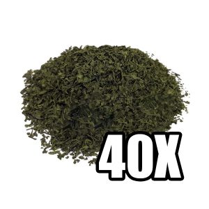 Buy Salvia Extract 40X